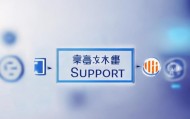 信息技术服务官网解析，保障您实时服务保障
