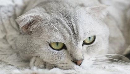 探索技术驱动的未来，专业技能如何帮助我们应对挑战。